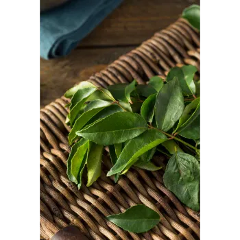 Organic Dry Curry Leaves